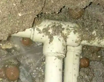 江南测漏水多少钱