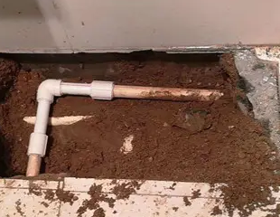 江南测漏水哪家好