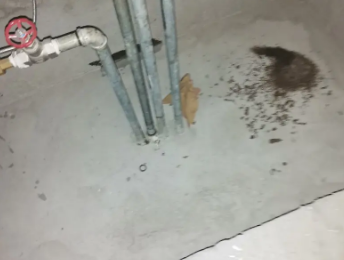 江南卫生间测漏水价格明细