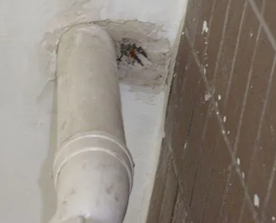 江南漏水检测哪家好